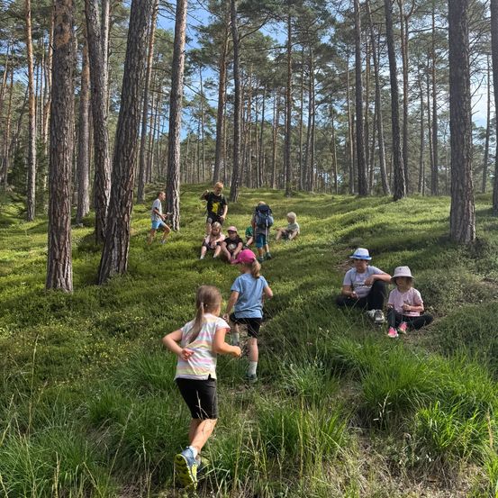 Eine Gruppe von Kindern und Erwachsenen wandert im Wald. Einige sitzen auf dem Boden, während andere gehen. Der Wald ist von hohen Bäumen umgeben.