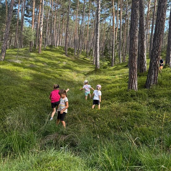 Eine Gruppe von Kindern läuft und spielt in einem üppigen, grünen Wald. Sie sind von hohen Bäumen und einem grasigen Feld umgeben.