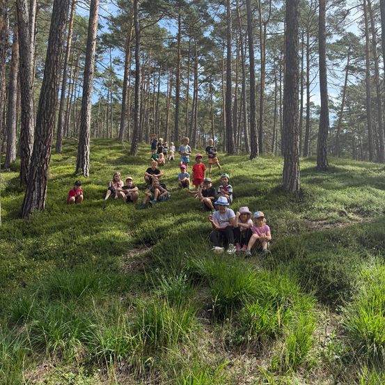Eine Gruppe von Kindern und Erwachsenen sitzt auf einem Grashügel in einem Wald. Einige tragen Hüte und Turnschuhe.