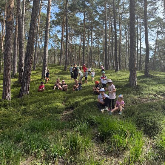 Eine Gruppe von Kindern und Erwachsenen erkundet einen Wald, einige sitzen auf dem Boden und andere gehen zwischen hohen Bäumen.