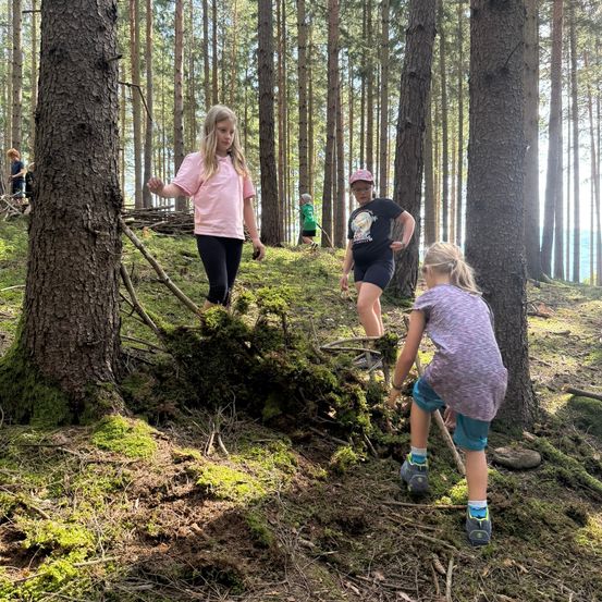 Eine Gruppe von Kindern erkundet einen Wald, einige klettern auf moosbedeckte Felsen. Ein Mädchen in Pink schaut zur Kamera.