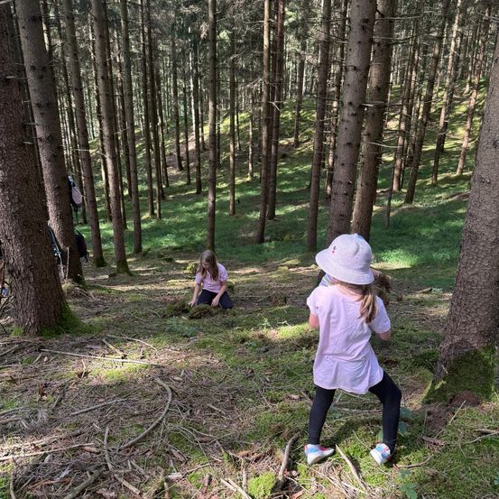 Zwei junge Mädchen erkunden einen Wald, eine kniet auf moosbedecktem Boden, während die andere mit Hut und Turnschuhen steht. Hohe Bäume umgeben sie, und Sonnenlicht filtert durch das Blätterdach.