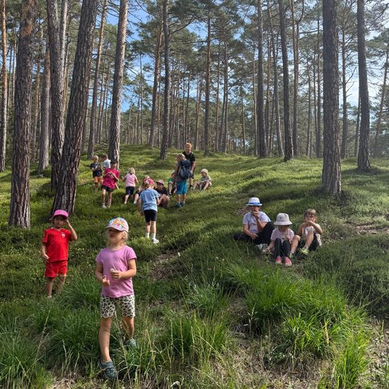 Eine Gruppe von Kindern und Erwachsenen erkundet einen Kiefernwald, einige gehen, während andere auf dem Grasboden sitzen. Die Kinder tragen Mützen und Turnschuhe.