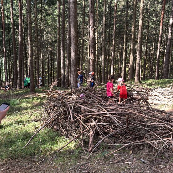 Eine Gruppe von Kindern im Wald, einige stehen in der Nähe eines großen Haufens von Stöcken. Sie tragen Mützen und Turnschuhe.