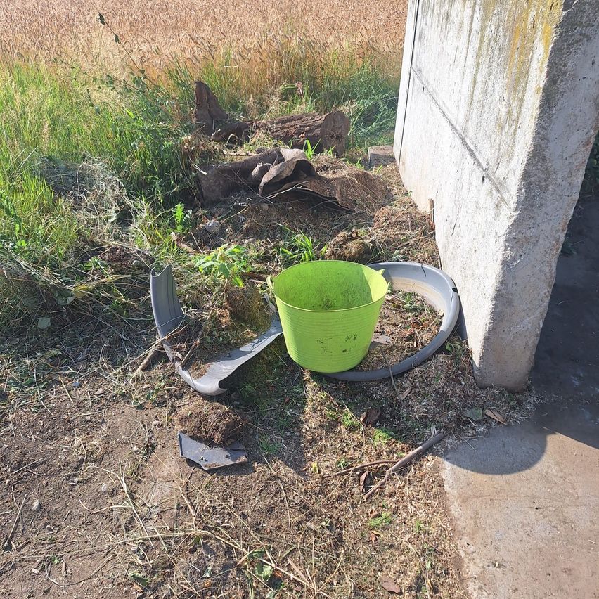 Ein grüner Eimer mit einer Pflanze steht neben einer Betonmauer auf dem Boden, mit einem zerbrochenen Reifen und einem Baumstamm im Hintergrund.