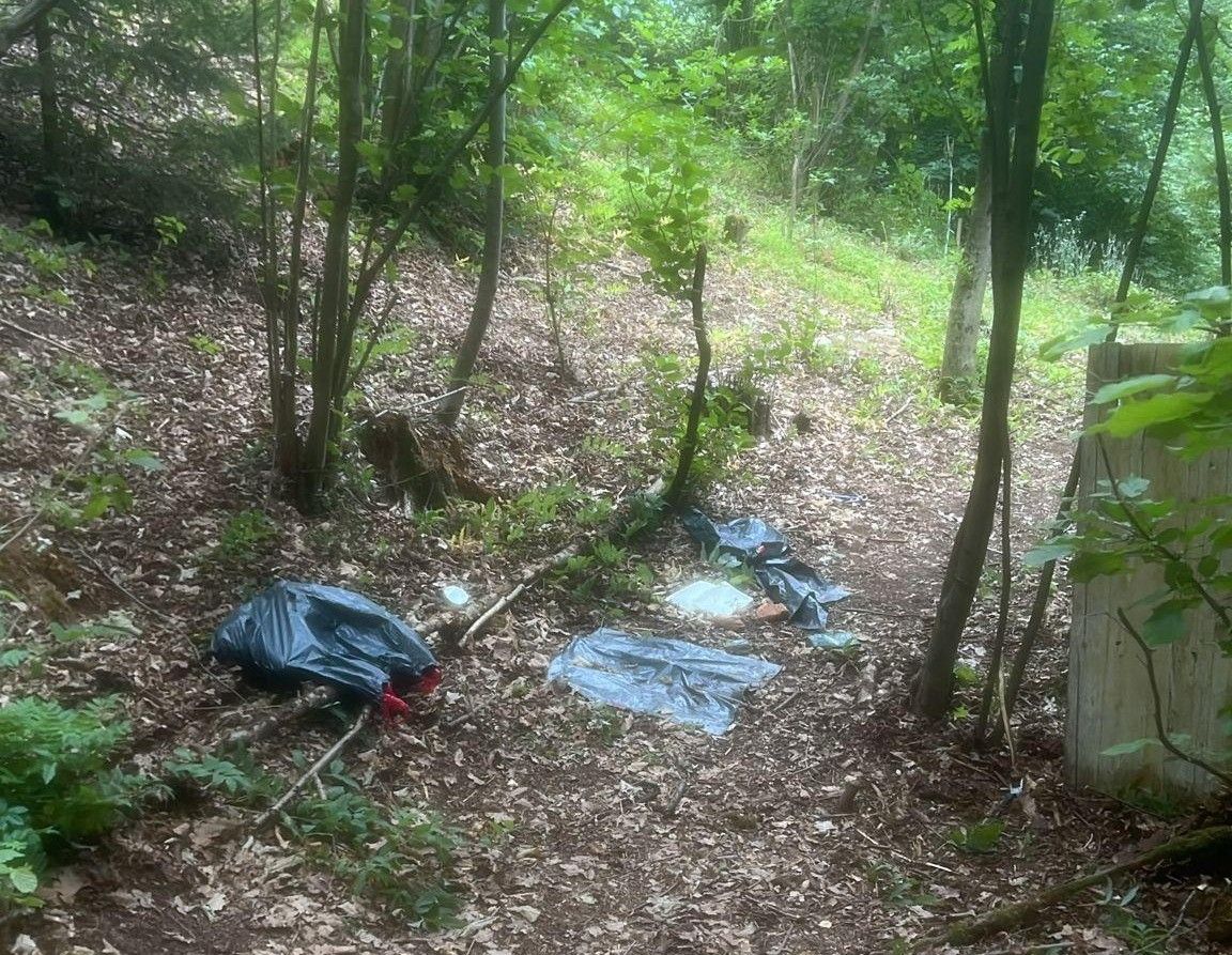 Ein Waldpfad mit verstreitem Müll, einschließlich eines schwarzen Plastiksacks, einer blauen Plastikplane und einer Flasche. Der Pfad ist von grünen Bäumen und Sträuchern umgeben.