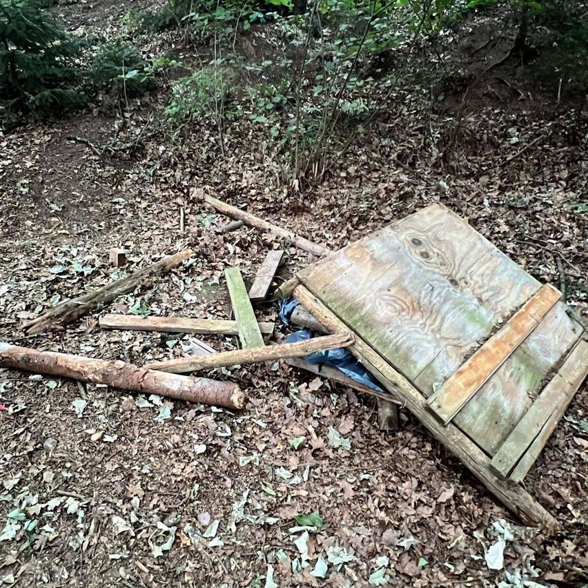 Ein Haufen zerbrochener Holzbretter, einige mit Nägeln, liegt auf dem Waldboden verstreut. In der Nähe gibt es gefallene Blätter und Zweige.