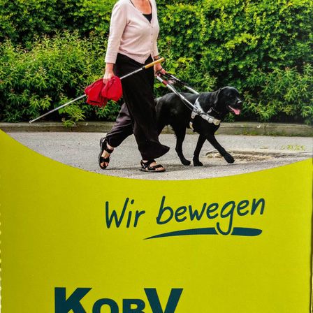 Advertisement, Poster, Glasses, Canine, Dog, Person, Pet, Walking Dog, Spear, Walking