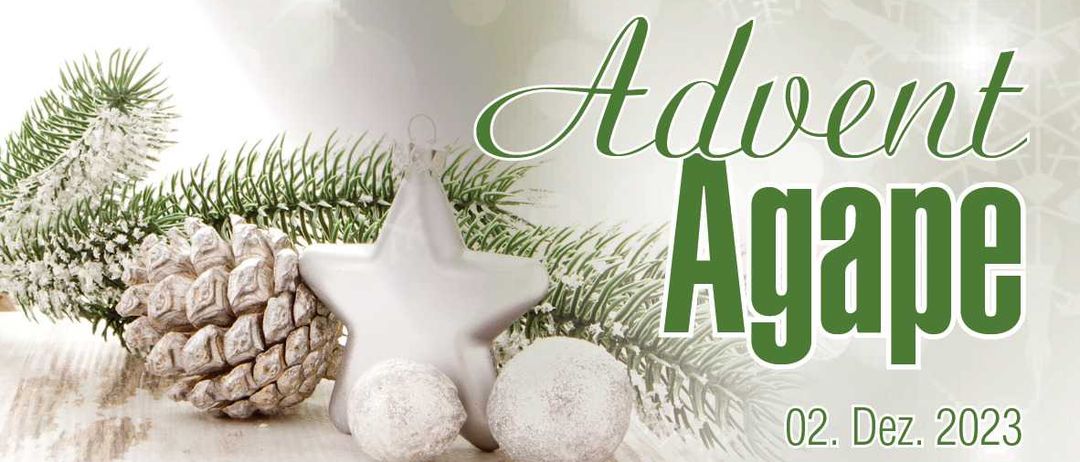 Bild enthält, Tree, Herbal, Fir, Pine, Accessories