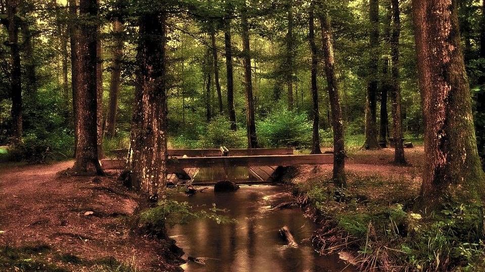 v1_migrated_image_74562733