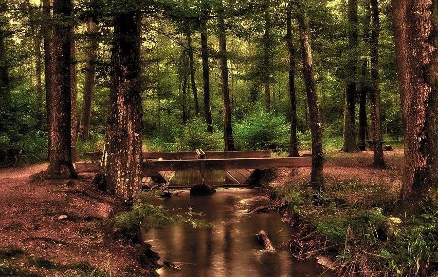 v1_migrated_image_74562733