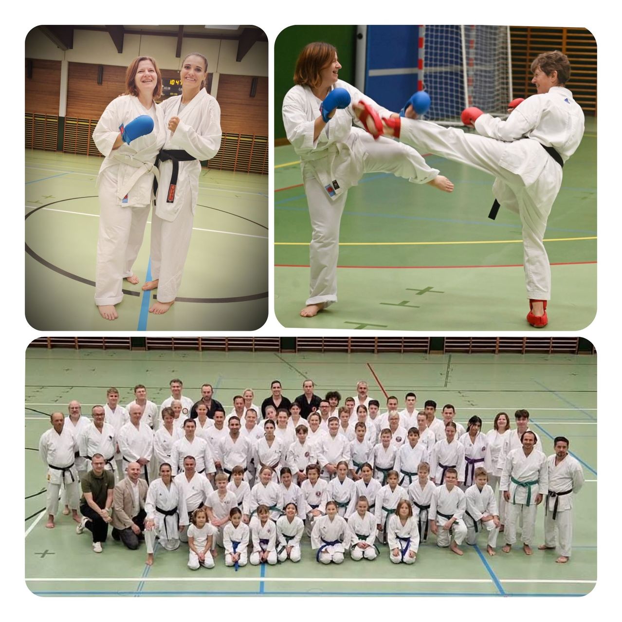 Drei Fotos zeigen Menschen in Kampfsportuniformen. Das erste zeigt zwei Frauen im Stehen, das zweite zwei Frauen inmitten eines Kicks und das dritte eine Gruppe von Menschen im Knien, Sitzen und Stehen.