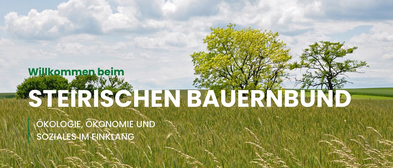 Bild enthält, Field, Grassland, Nature, Outdoors, Grass, Vegetation, Landscape, Land, Agriculture, Pasture