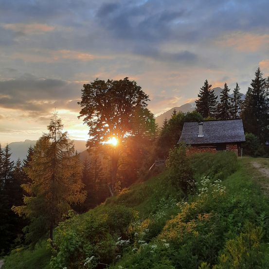 Bild enthält, Building, Countryside, Hut, Nature, Outdoors, Rural, Shelter, Shack, Fir, Tree