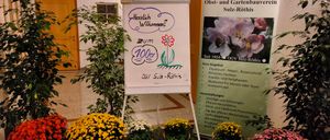 Bild enthält, Plant, Potted Plant, Flower, Flower Arrangement, Flower Bouquet, Advertisement, Geranium, White Board, Herbal, Herbs