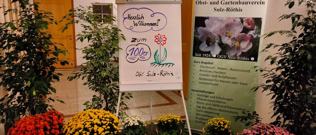 Bild enthält, Plant, Potted Plant, Flower, Flower Arrangement, Flower Bouquet, Advertisement, Geranium, White Board, Herbal, Herbs