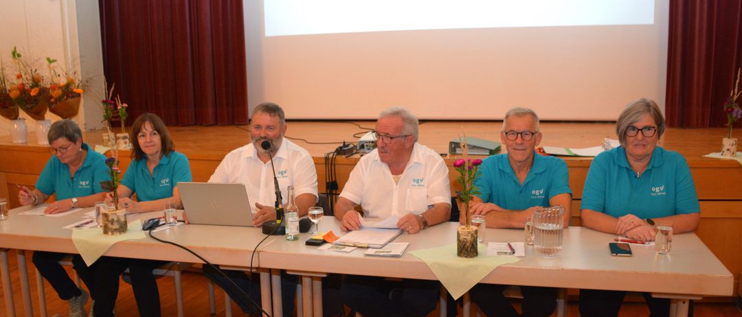 Bild enthält, People, Person, Crowd, Seminar, Laptop, Table, Wood, Plywood, Adult, Woman