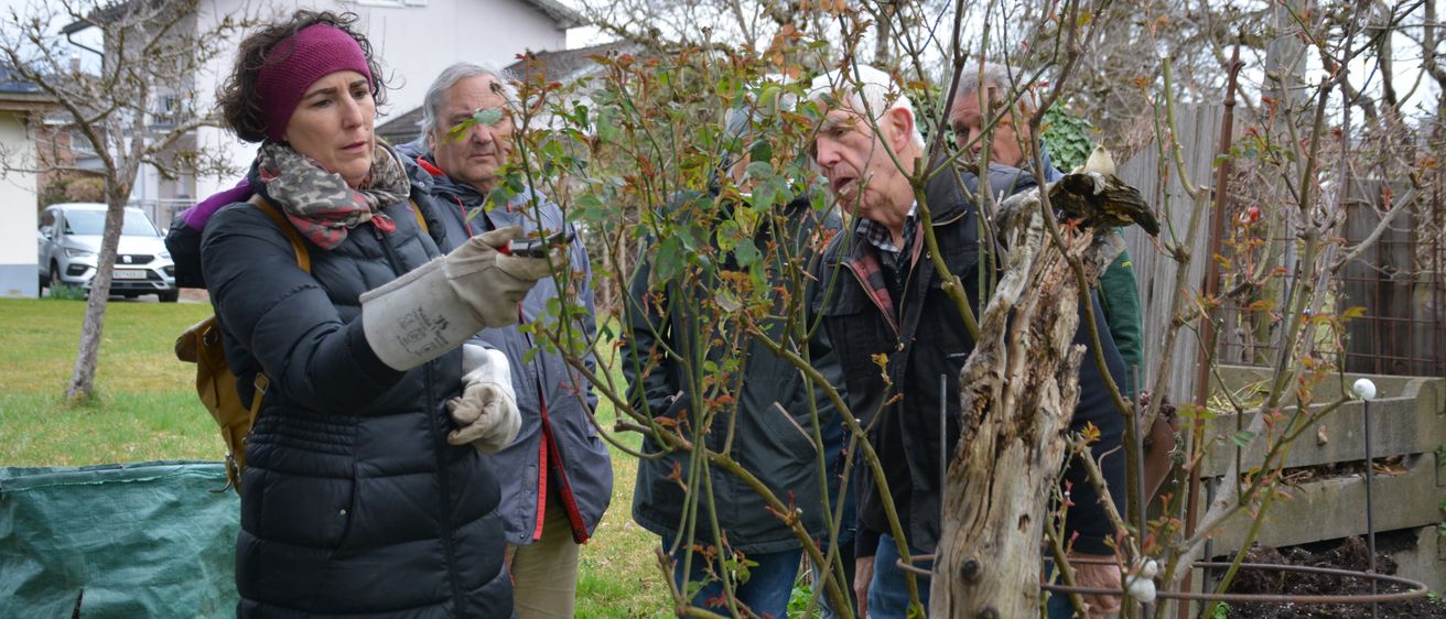 Bild enthält, Garden, Cap, Hat, Glove, Coat, Jacket, Adult, Female, Person, Woman