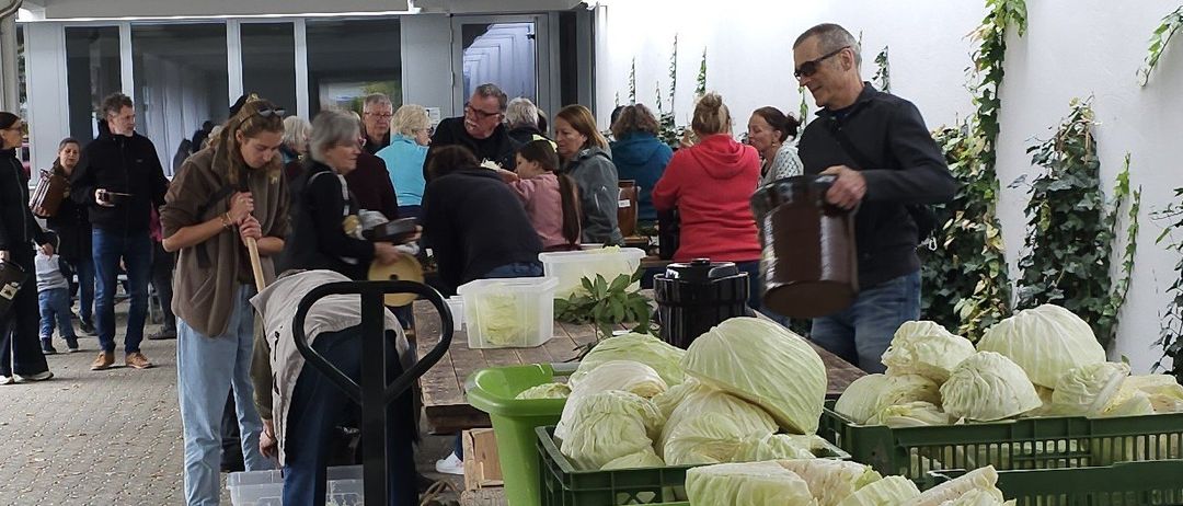 Menschen holen Kohl aus grünen Kisten. Eine Person hält einen Eimer, während andere Schaufeln benutzen. Einige tragen Brillen und Turnschuhe.
