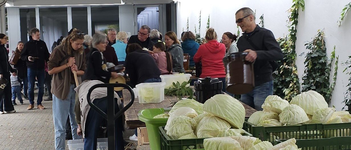 Menschen holen Kohl aus grünen Kisten. Eine Person hält einen Eimer, während andere Schaufeln benutzen. Einige tragen Brillen und Turnschuhe.