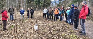 Eine Gruppe von Menschen steht in einem Waldgebiet mit Bäumen und trockenen Blättern. Sie tragen Winterkleidung und einige halten Schaufeln. Ein weißer Eimer steht auf dem Boden. Berge sind in der Ferne sichtbar.