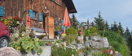 Bild enthält, Outdoors, Shelter, Countryside, Hut, Nature, Tree, Fir, Potted Plant, Wheel, Car