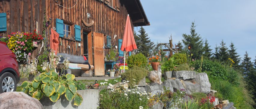Bild enthält, Outdoors, Shelter, Countryside, Hut, Nature, Tree, Fir, Potted Plant, Wheel, Car