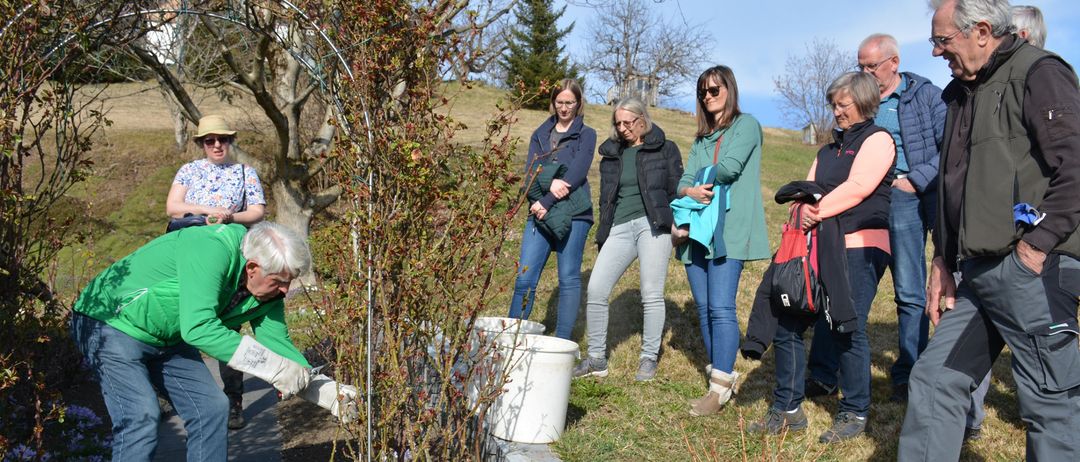 Ein älterer Mann beschneidet einen Baum mit Handschuhen, während mehrere Menschen hinter ihm zusehen. Die Gruppe ist draußen auf einem grasigen Hügel bei klarem Himmel.