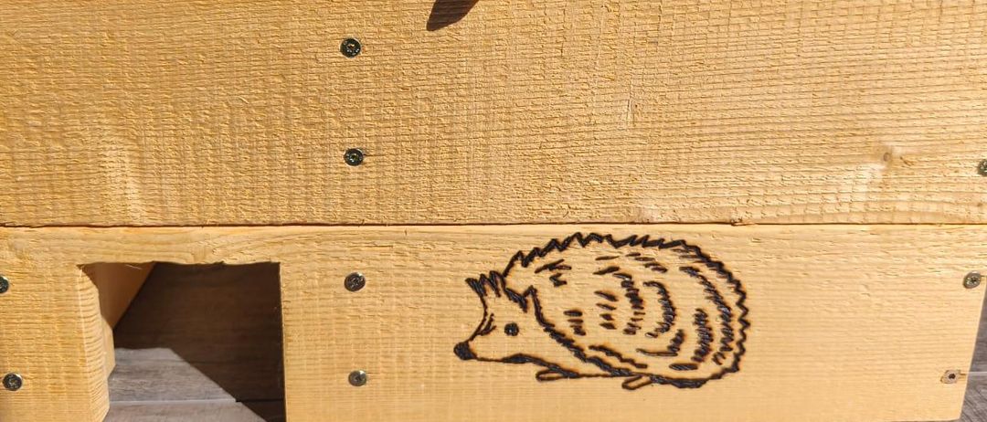 Ein hölzerner Aufbewahrungskasten mit Igel-Design auf der Vorderseite, geöffnet und zeigt sein Inneres, auf einer grauen Oberfläche platziert.