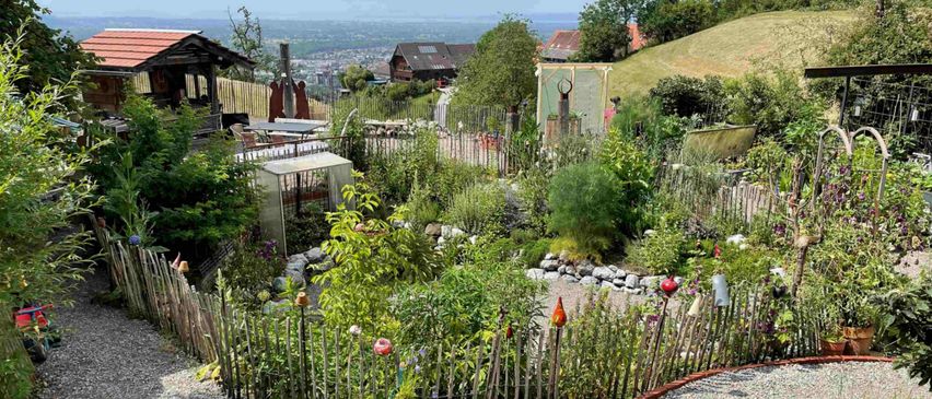 A view of a hillside garden with a gravel pathway, wooden fence, various plants, and a wooden house. Trees and a distant cityscape are visible in the background.