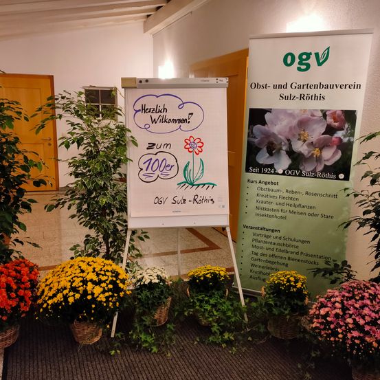 Bild enthält, Plant, Potted Plant, Flower, Flower Arrangement, Flower Bouquet, Advertisement, Geranium, White Board, Herbal, Herbs