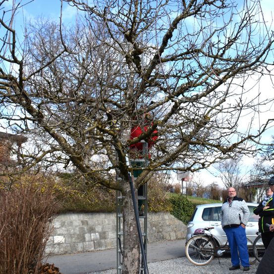 Bild enthält, Spoke, Tree, Tree Trunk, Adult, Male, Man, Person, Wheel, Car, Bicycle