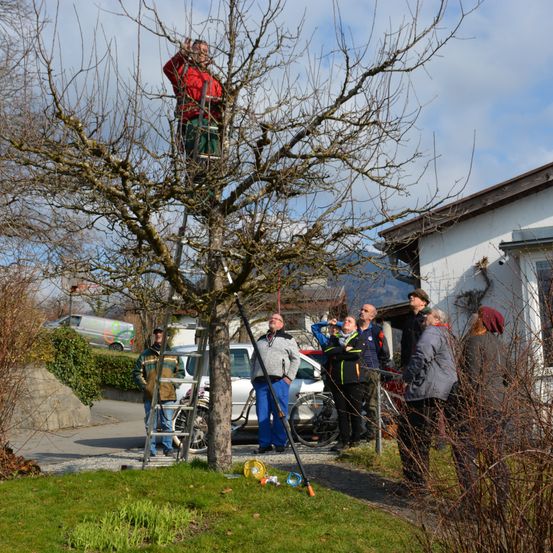 Bild enthält, Grass, Person, Garden, Nature, Outdoors, Wheel, Gardening, Tree, Lawn, Car