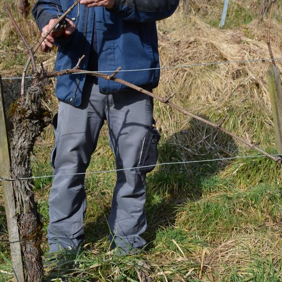 Bild enthält, Pants, Adult, Male, Man, Person, Outdoors, Nature, Jeans, Fence, Soil