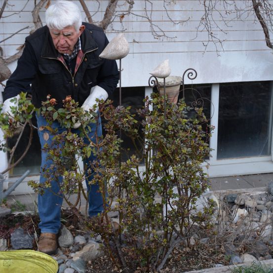 Bild enthält, Garden, Nature, Outdoors, Gardening, Pants, Gardener, Person, Adult, Male, Man