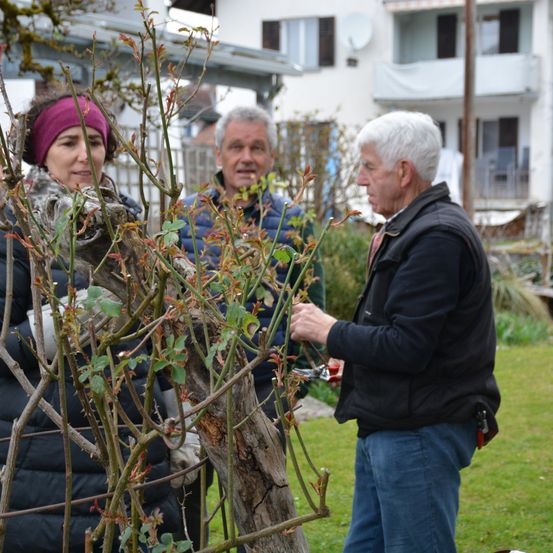 Bild enthält, Garden, Cap, Hat, Gardener, Gardening, Person, Pants, Adult, Male, Man