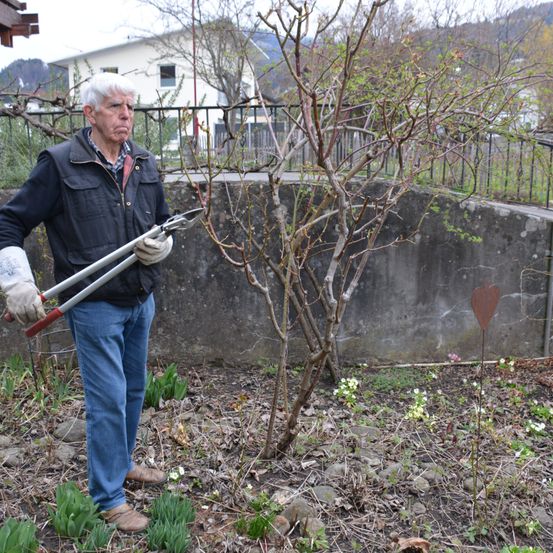 Bild enthält, Garden, Outdoors, Gardening, Pants, Adult, Male, Man, Person, Gardener, Soil