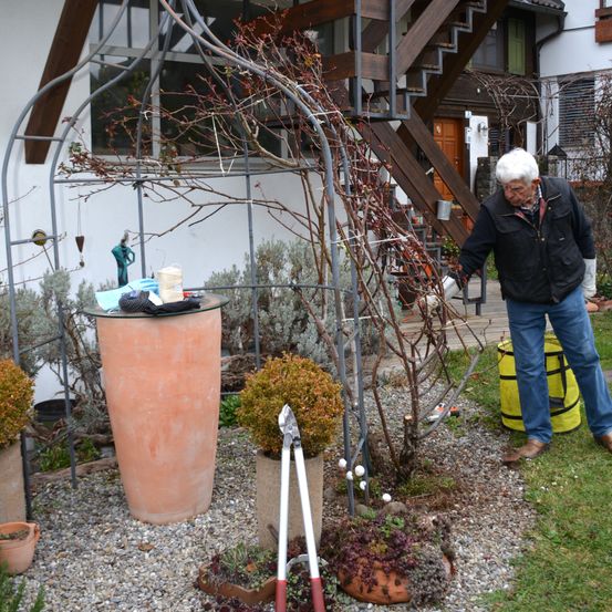 Bild enthält, Potted Plant, Garden, Pot, Gravel, Adult, Male, Man, Person, Jacket, Jar
