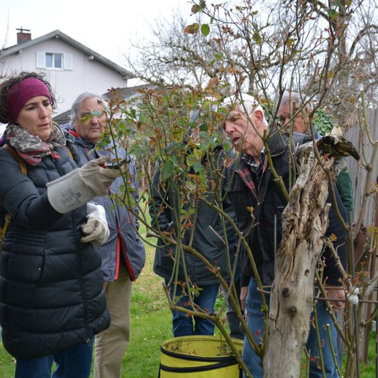 Bild enthält, Garden, Cap, Hat, Glove, Coat, Jacket, Adult, Female, Person, Woman