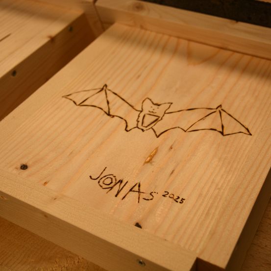 Bild enthält, Wood, Plywood, Box, Animal, Insect, Invertebrate, Hardwood, Furniture