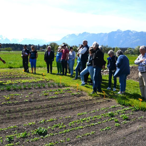 Eine Gruppe von Menschen steht in einem Feld mit gepflanzten Reihen, einige tragen Sonnenbrillen und Turnschuhe. Sie schauen zu den Bergen in der Ferne, wo auch Bäume und Büsche zu sehen sind.