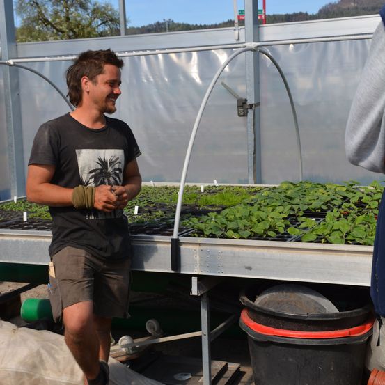 Ein Mann in einem schwarzen T-Shirt und braunen Shorts steht neben einem Regal mit grünen Pflanzen in einem Gewächshaus.