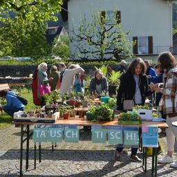Ein Marktstand mit verschiedenen Topfpflanzen ist in einem Außenbereich mit Kopfsteinpflaster aufgestellt. Menschen stehen um den Tisch herum, einige unterhalten sich und einige halten ihre Telefone in der Hand. Eine Frau mit einer Handtasche steht vor dem Tisch. Der Tisch hat Banner mit den Worten Tausch CH und Tisch CH. Hinter dem Tisch befinden sich Bäume, Pflanzen und ein Gebäude.