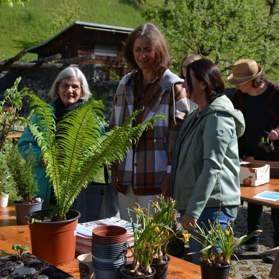 Eine Gruppe von Menschen steht draußen in einem Garten, mit mehreren Topfpflanzen und Blumen auf einem Tisch. Zwei Frauen betrachten einen großen Farn, während eine andere Frau zuschaut. Im Hintergrund befindet sich ein Holzhaus und ein Grashang.