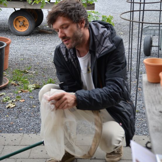 Ein Mann kniet auf einem Kiesweg und hält ein weißes Netz, wahrscheinlich zur Inspektion von Pflanzen. Im Hintergrund befinden sich Topfpflanzen und Wagen.