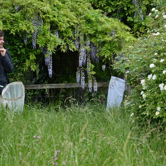 Ein Mann in einem Feld mit einem Netz, in der Nähe eines Baumes mit violetten Blumen und einem Zaun stehend.
