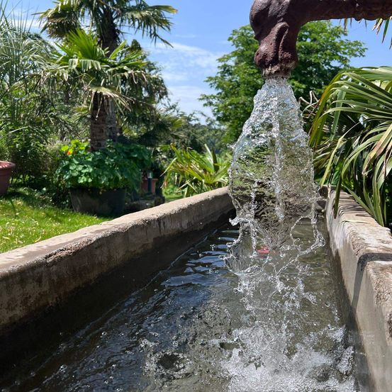 Eine Wasserfontäne mit einem Wasserhahn spüht Wasser in einem Garten mit Palmen und grünen Pflanzen. Das Wasser fließt in einen Betonkanal.