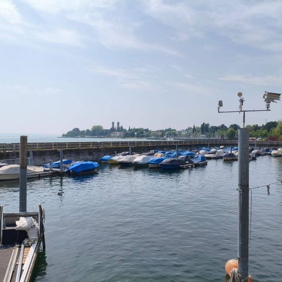 Ein Yachthafen mit am Wasser liegenden Booten, Wetterinstrumenten an einem Pfahl und einer entfernten Aussicht auf Bäume und ein Schloss.