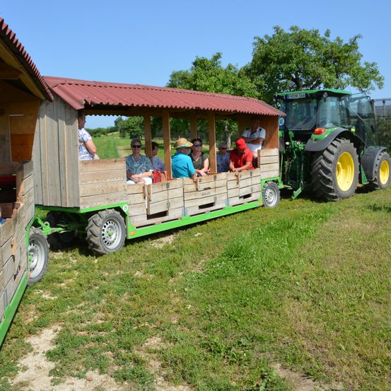 Eine Gruppe von Menschen sitzt in einem von einem grünen Traktor gezogenen Holzanhänger auf einem Rasen. Im Hintergrund sind Bäume zu sehen.