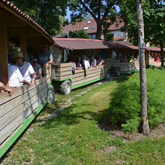 Eine Gruppe von Menschen fährt auf einem hölzernen Zug durch ein grasiges Gebiet mit Bäumen im Hintergrund.